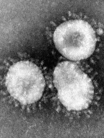 Ukraine reports 3,497 new coronavirus cases