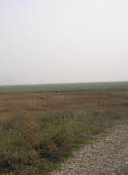 About 70% of Crimean steppe area unsuitable for farming