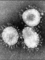 Ukraine confirms 1,319 coronavirus cases