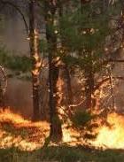 Emergency Service warns Ukrainians of critical fire weather conditions