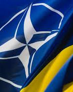 NATO to help Ukraine to transfer to standards of Alliance by 2020 - Vinnikov