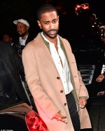 Big Sean explains what happened in video of a fan attacking him...