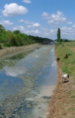 Every fifth resident of occupied Crimea has no access to quality drinking water