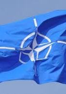 NATO PA stands for clear membership perspective for Ukraine