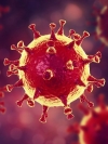 Ukraine reports 14,553 new coronavirus cases