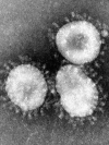 Ukraine reports 3,497 new coronavirus cases