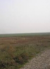 About 70% of Crimean steppe area unsuitable for farming