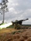 Lithuania to transfer Stinger missiles, thermal imagers to Ukraine