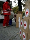 Red Cross sends over 11 tonnes of humanitarian aid to occupied Donbas
