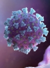 Ukraine reports 31,513 coronavirus cases over past day