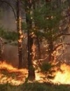 Emergency Service warns Ukrainians of critical fire weather conditions
