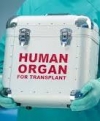 VR has adopted a law permitting organ transplantation