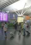 Boryspil airport records passenger growth in January