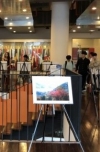 Feel Ukraine: Exhibition of Ukrainian photographers opens in Seoul