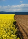 Government supports farmers as they develop Ukrainian economy – Groysman