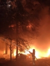 Death toll from wildfires in Luhansk region rises to nine